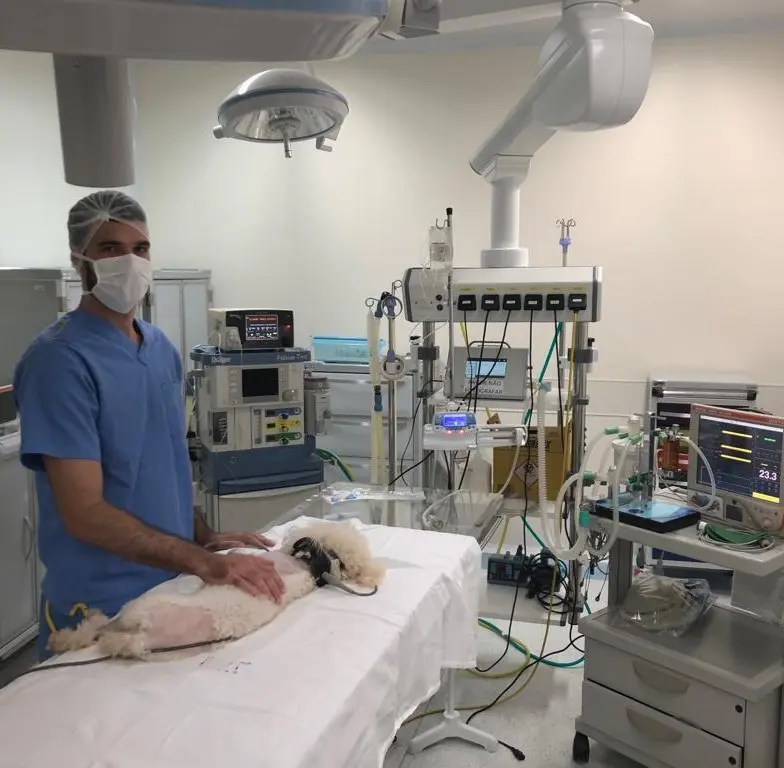 System in use in hospital environment