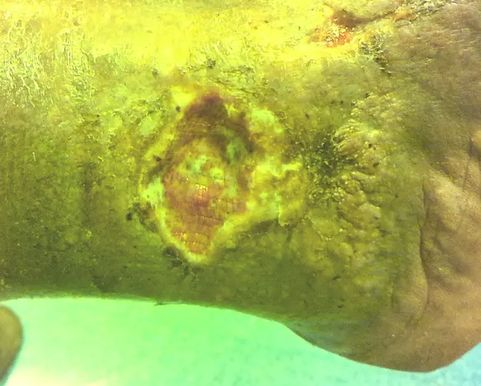 Validation testing in laboratory